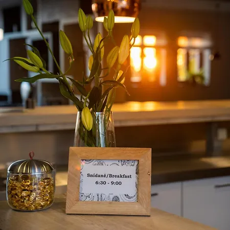 Grunt Mladá Boleslav